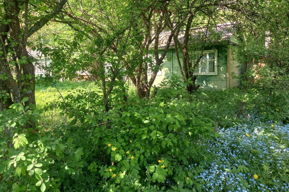 Екатеринбург, СНТ Энергостроитель уч.2, ул. СНТ Энергостроитель уч.2 - фото сада (2)