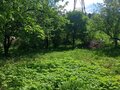 Продажа садового участка: Екатеринбург, СНТ Энергостроитель уч.2, ул. СНТ Энергостроитель уч.2 (Лечебный) - Фото 7