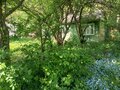 Продажа садового участка: Екатеринбург, СНТ Энергостроитель уч.2, ул. СНТ Энергостроитель уч.2 (Лечебный) - Фото 9