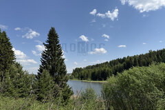п. Каменка (г.о. Белоярский), ул. Заречная, 22 (городской округ Белоярский) - фото земельного участка