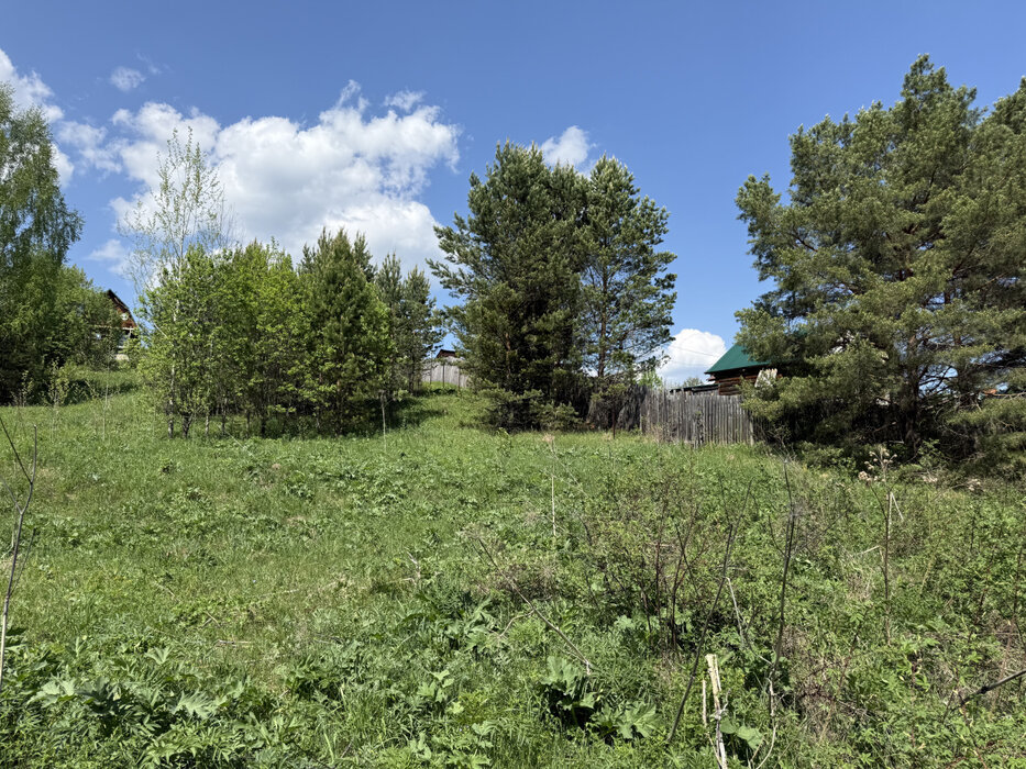 п. Каменка (г.о. Белоярский), ул. Заречная, 22 (городской округ Белоярский) - фото земельного участка (2)