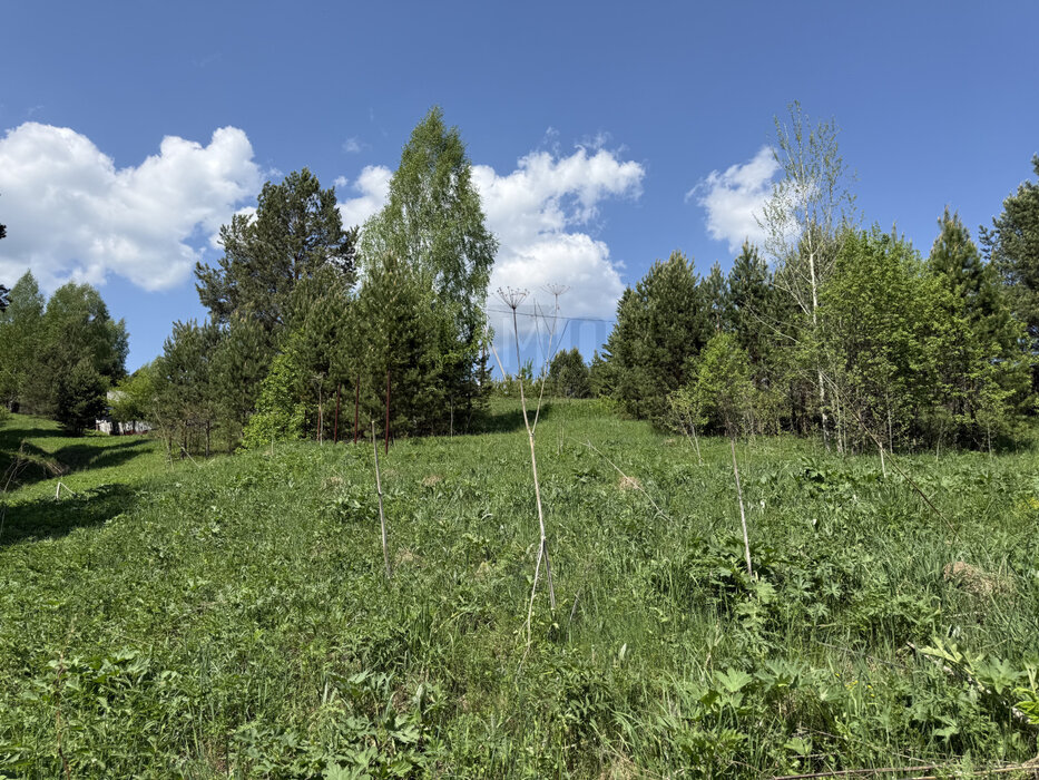 п. Каменка (г.о. Белоярский), ул. Заречная, 22 (городской округ Белоярский) - фото земельного участка (5)