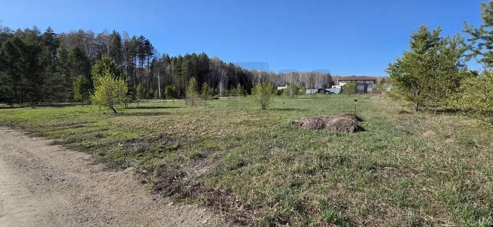 к.п. Александрия, ул. Одиннадцатая, 41 (городской округ Белоярский, д. Гусева) - фото земельного участка (4)