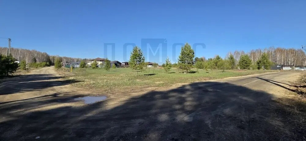 к.п. Александрия, ул. Одиннадцатая, 41 (городской округ Белоярский, д. Гусева) - фото земельного участка (5)