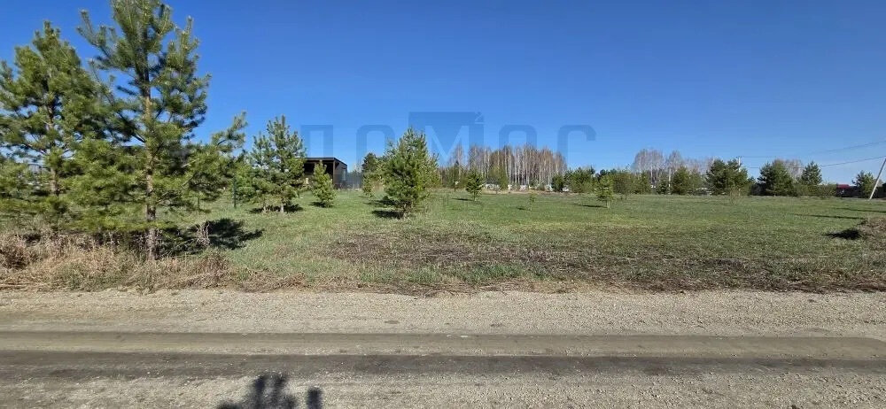 к.п. Александрия, ул. Одиннадцатая, 41 (городской округ Белоярский, д. Гусева) - фото земельного участка (8)