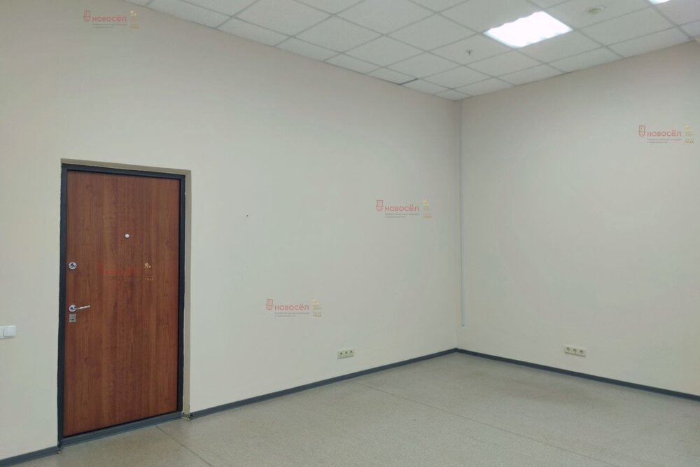 Екатеринбург, ул. Карла Либкнехта, 22 (Центр) - фото офисного помещения (3)