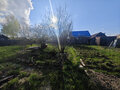 Продажа дачи: г. Ревда, ул. Димитрова, 26 (городской округ Ревда) - Фото 8