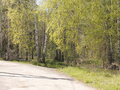 Продажа дома: п. Первомайский (г.о. Сысертский), ул. Березовая, 34 (городской округ Сысертский) - Фото 2