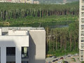 Продажа квартиры: Екатеринбург, ул. микрорайон Светлый, 9 (Уктус) - Фото 12