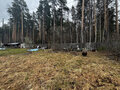Продажа садового участка: п. Полевой, Коллективный сад Вдохновение, уч. 63 (городской округ Сысертский) - Фото 15