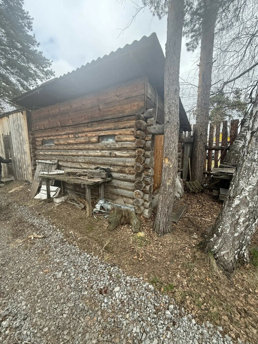 п. Монзино, коллективный сад № 2 НТМК, ул. Привокзальная, 12 (городской округ Горноуральский) - фото сада (10)