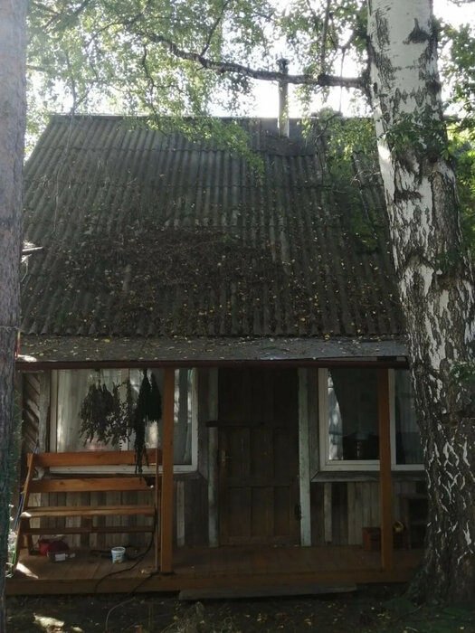 п. Монзино, коллективный сад № 2 НТМК, ул. Привокзальная, 12 (городской округ Горноуральский) - фото сада (2)