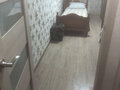 Продажа квартиры: г. Нижний Тагил, ул. Мира, 6 (городской округ Нижний Тагил) - Фото 8