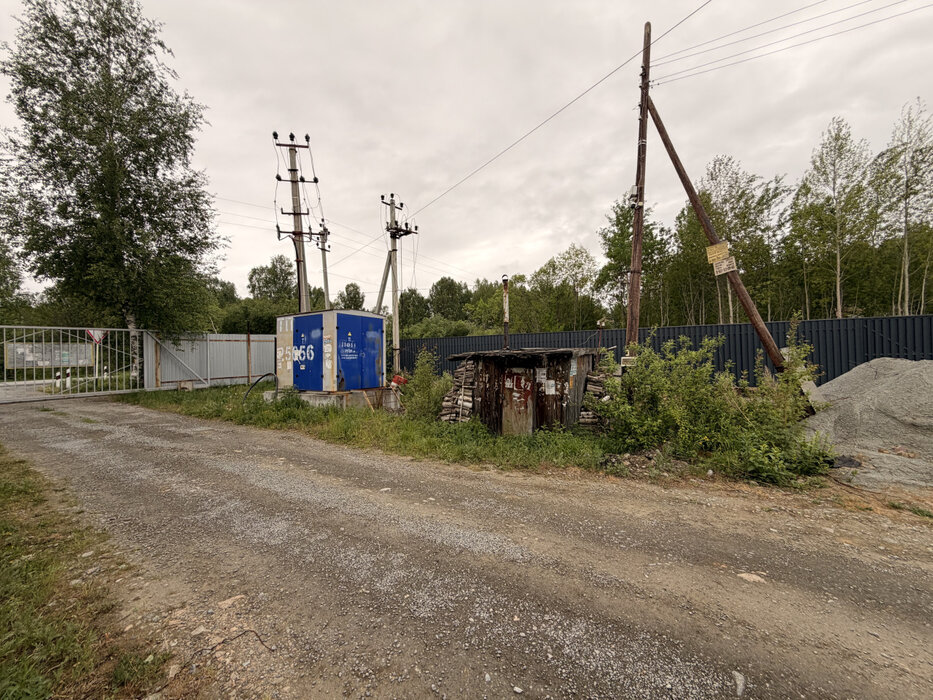 Екатеринбург, снт. Зеленый бор-2 (Горный щит) - фото сада (5)