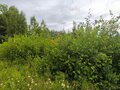 Продажа земельного участка: п. Канал, ул. КС Аметист (городской округ Первоуральск) - Фото 5
