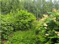 Продажа земельного участка: п. Канал, ул. КС Аметист (городской округ Первоуральск) - Фото 8