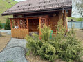 Продажа дома: с. Нижнеиргинское, ул. 1 Мая, 10 (городской округ Красноуфимск) - Фото 3