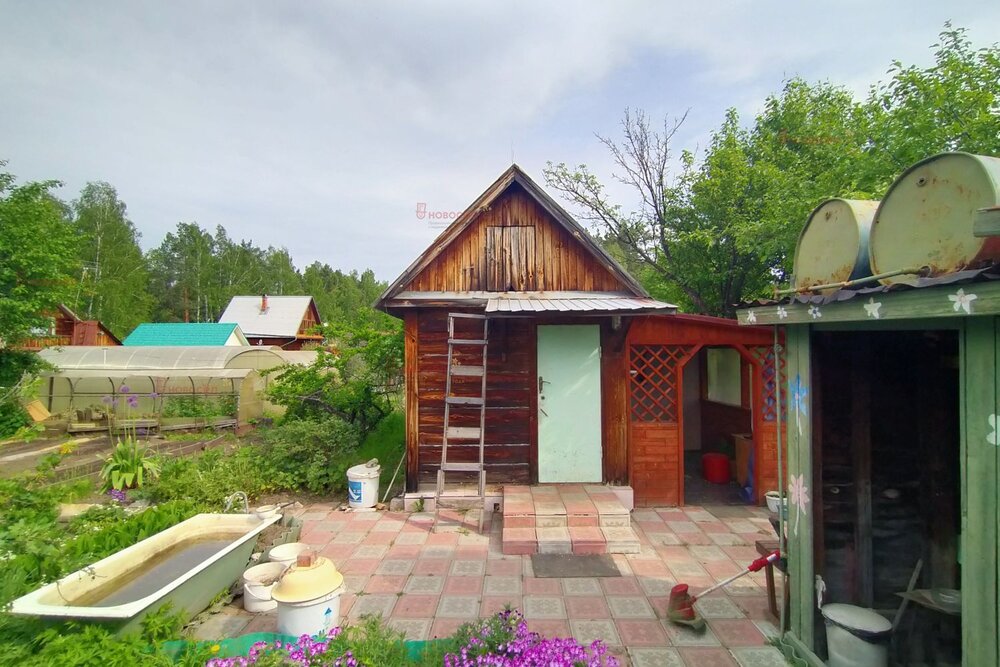 с. Кашино, С/Т Черемшанка, ул. С/Т Черемшанка, 10 (городской округ Сысертский) - фото сада (2)