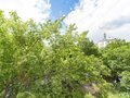 Продажа квартиры: Екатеринбург, ул. Мамина-Сибиряка, 54 (Центр) - Фото 16