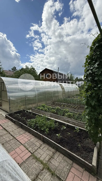 д. Гусева, СНТ Уралец, ул. Первая (городской округ Белоярский) - фото сада (10)