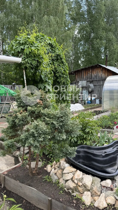 д. Гусева, СНТ Уралец, ул. Первая (городской округ Белоярский) - фото сада (11)