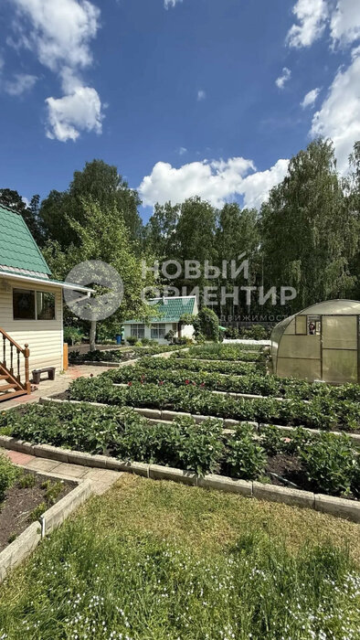 д. Гусева, СНТ Уралец, ул. Первая (городской округ Белоярский) - фото сада (4)