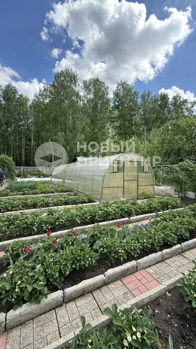 д. Гусева, СНТ Уралец, ул. Первая (городской округ Белоярский) - фото сада (9)