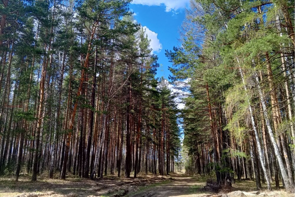 п. Лосиный, ул. Трудовая, 9 (городской округ Березовский) - фото дома (8)
