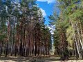 Продажа дома: п. Лосиный, ул. Трудовая, 9 (городской округ Березовский) - Фото 8
