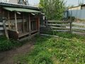 Продажа садового участка: Екатеринбург, СНТ Трамвайщик (Вторчермет) - Фото 11
