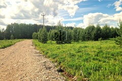 к.п. Чистые росы-2, ул. Парковый (городской округ Белоярский) - фото земельного участка
