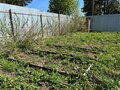 Продажа земельного участка: п. Светлый, ул. Зеленая, 3 (городской округ Арамильский) - Фото 3