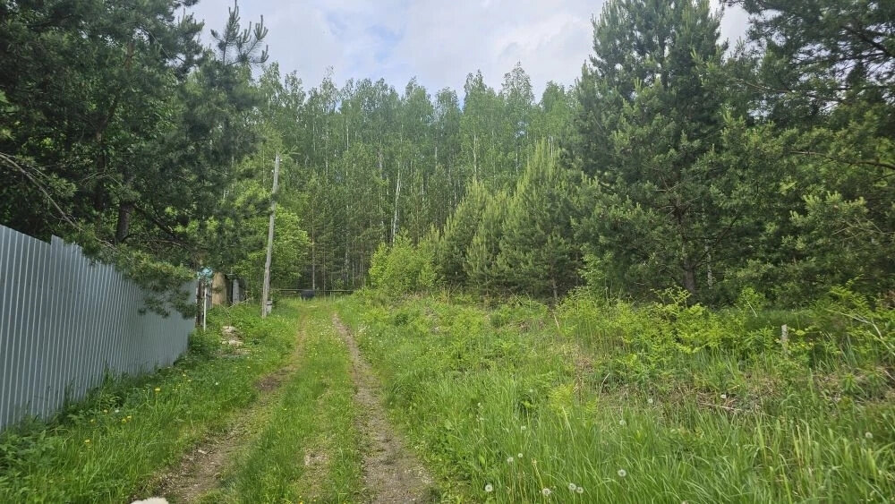 г. Полевской, тер. садоводческое товарищество Аметист, уч. 6 (городской округ Полевской) - фото сада (10)