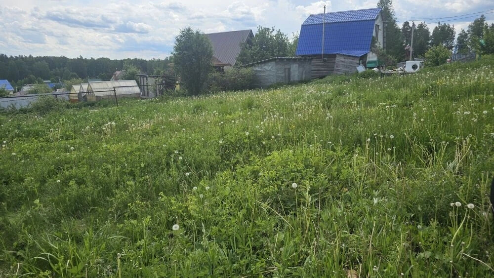 г. Полевской, тер. садоводческое товарищество Аметист, уч. 6 (городской округ Полевской) - фото сада (11)