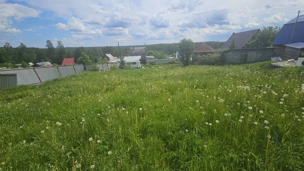 г. Полевской, тер. садоводческое товарищество Аметист, уч. 6 (городской округ Полевской) - фото сада (13)