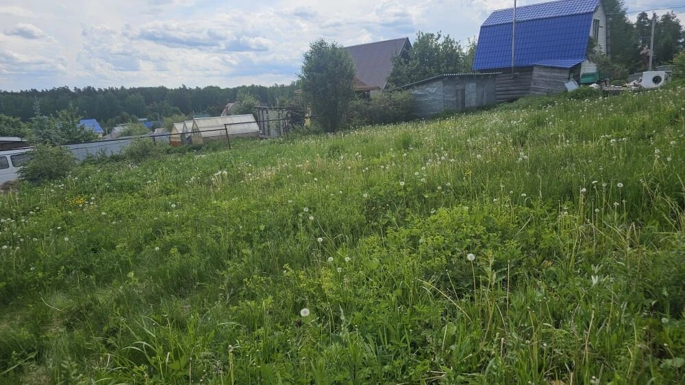 г. Полевской, тер. садоводческое товарищество Аметист, уч. 6 (городской округ Полевской) - фото сада (2)