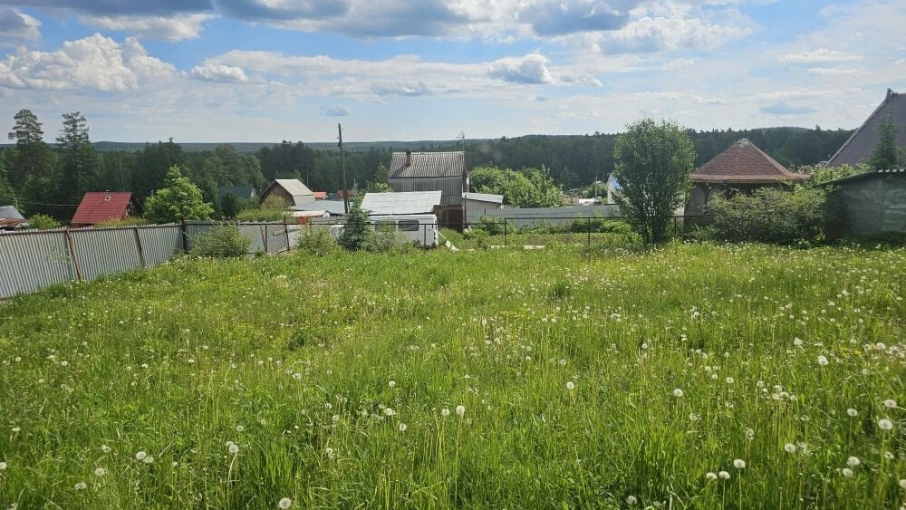 г. Полевской, тер. садоводческое товарищество Аметист, уч. 6 (городской округ Полевской) - фото сада (3)