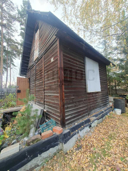 Екатеринбург, СНТ Мечта, ул. СНТ Мечта, 12 (Горный щит) - фото сада (4)