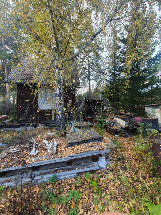 Екатеринбург, СНТ Мечта, ул. СНТ Мечта, 12 (Горный щит) - фото сада (6)