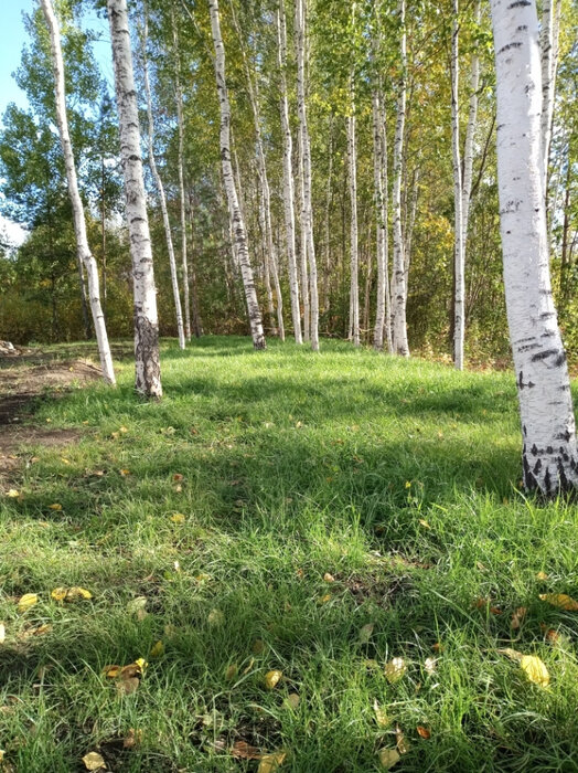 Екатеринбург, ул. Патрушихинская, 53 (Медный) - фото дома (14)