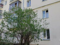 Аренда квартиры: Екатеринбург, ул. Мордвинский, 5 (Автовокзал) - Фото 1