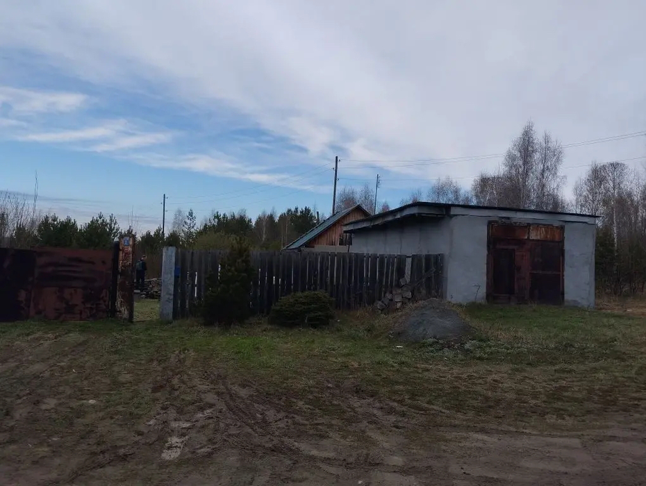 с. Мезенское, ул. Нагорная, 31 (городской округ Заречный) - фото дома (1)