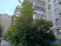 Аренда квартиры: Екатеринбург, ул. Шейнкмана, 45 (Центр) - Фото 16