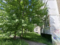 Продажа квартиры: Екатеринбург, ул. Санаторная, 35 (Вторчермет) - Фото 7