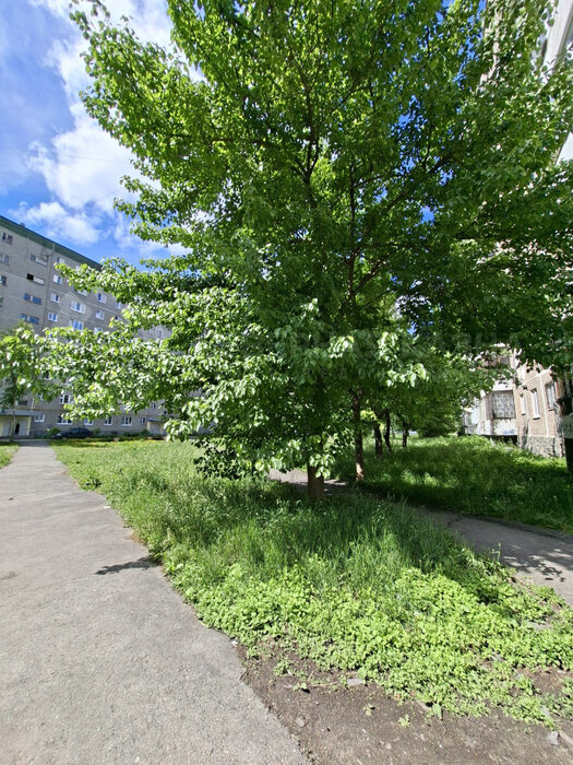 Екатеринбург, ул. Санаторная, 35 (Вторчермет) - фото квартиры (8)