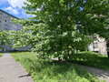 Продажа квартиры: Екатеринбург, ул. Санаторная, 35 (Вторчермет) - Фото 8