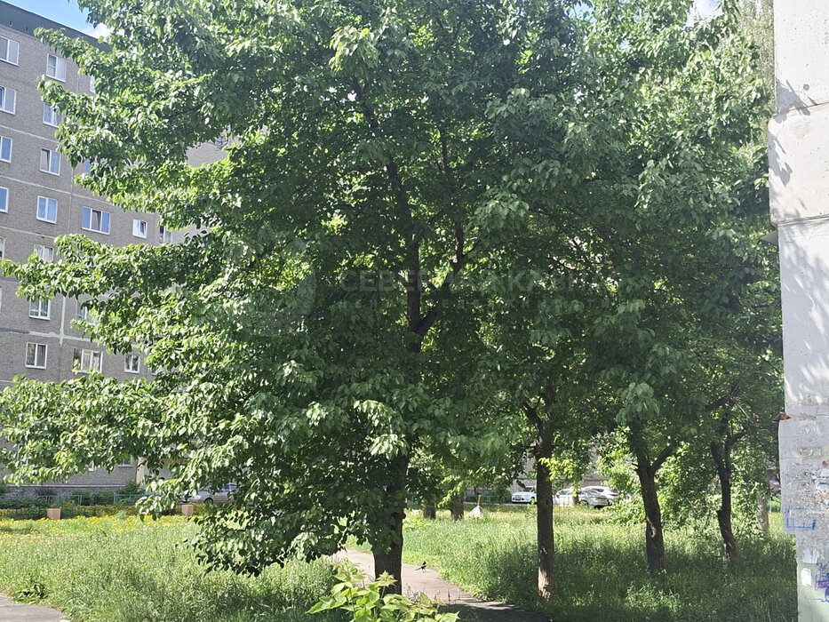 Екатеринбург, ул. Санаторная, 35 (Вторчермет) - фото квартиры (9)