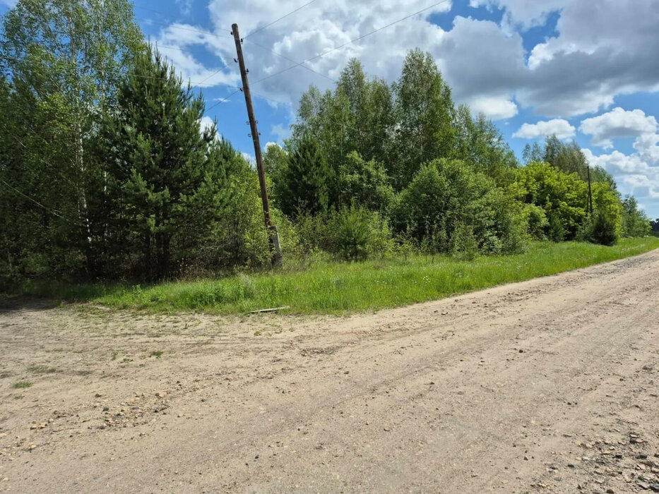 г. Тавда, ул. Челюскинцев, 16 (городской округ Тавдинский) - фото земельного участка (4)