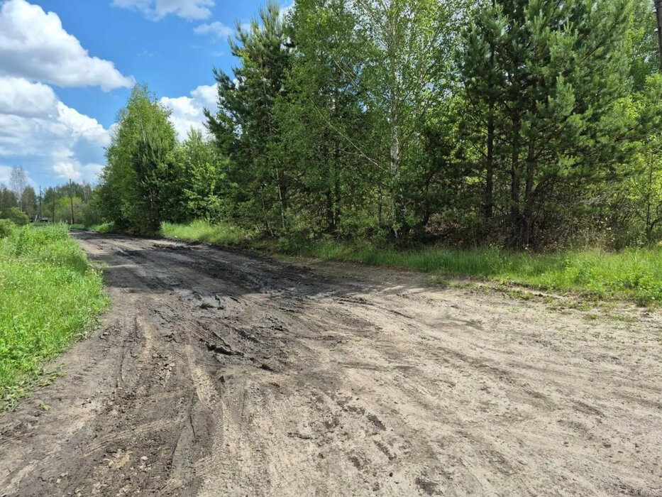 г. Тавда, ул. Челюскинцев, 16 (городской округ Тавдинский) - фото земельного участка (5)