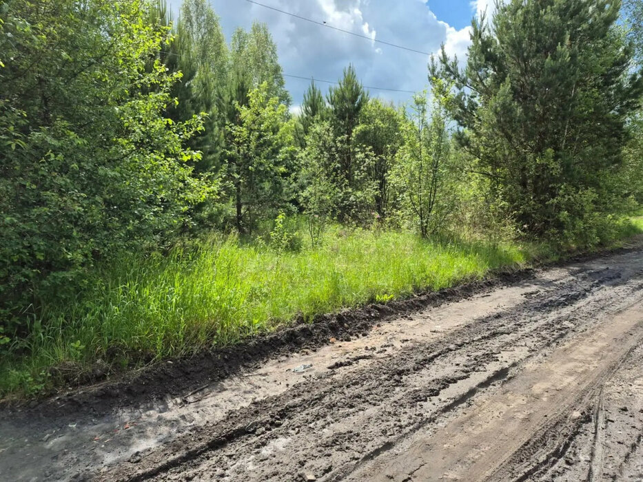 г. Тавда, ул. Челюскинцев, 16 (городской округ Тавдинский) - фото земельного участка (6)